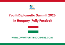Youth Diplomatic Summit 2026 in Hungary