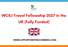 WCSJ Travel Fellowship 2027 in the UK