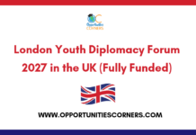 London Youth Diplomacy Forum 2027 in the UK