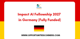 Impact AI Fellowship 2027 in Germany