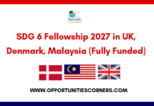 SDG 6 Fellowship 2027